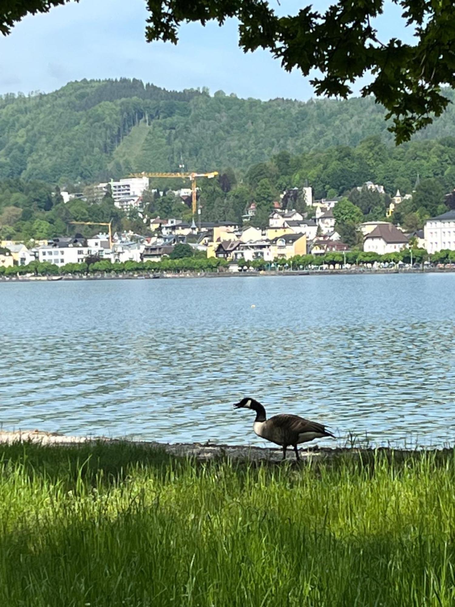 Altstadtjuwel In Gmunden Am Traunsee Bagian luar foto