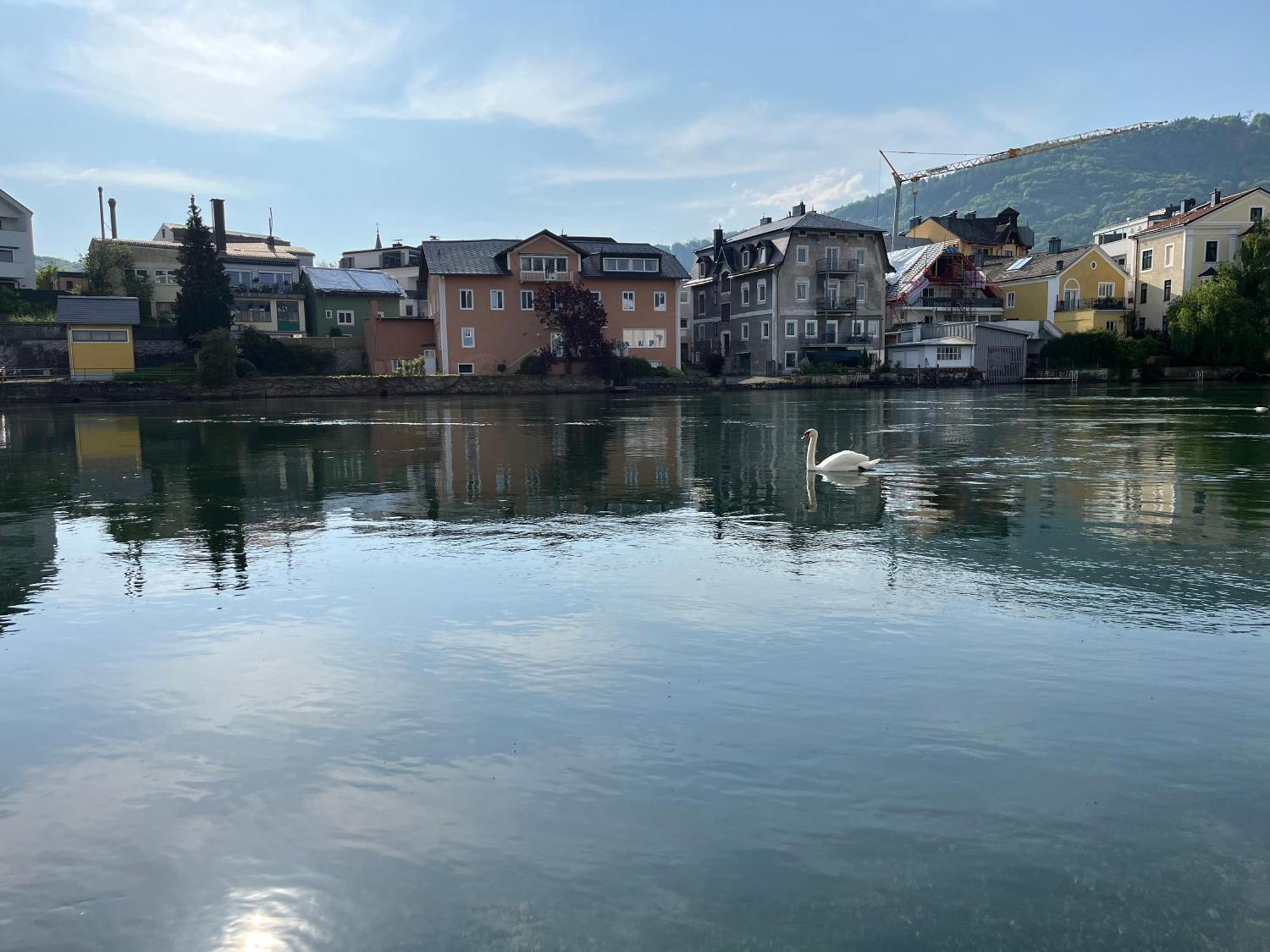 Altstadtjuwel In Gmunden Am Traunsee Bagian luar foto