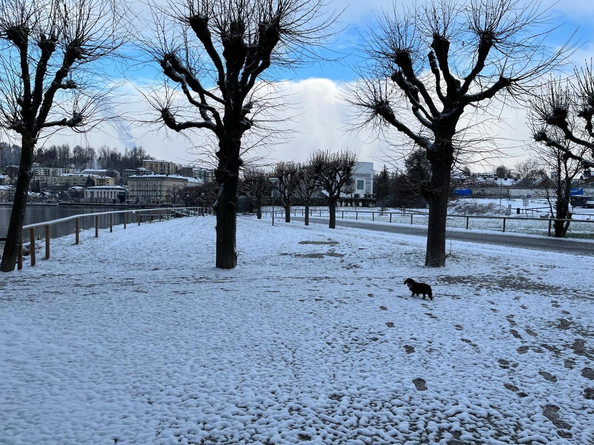 Altstadtjuwel In Gmunden Am Traunsee Bagian luar foto